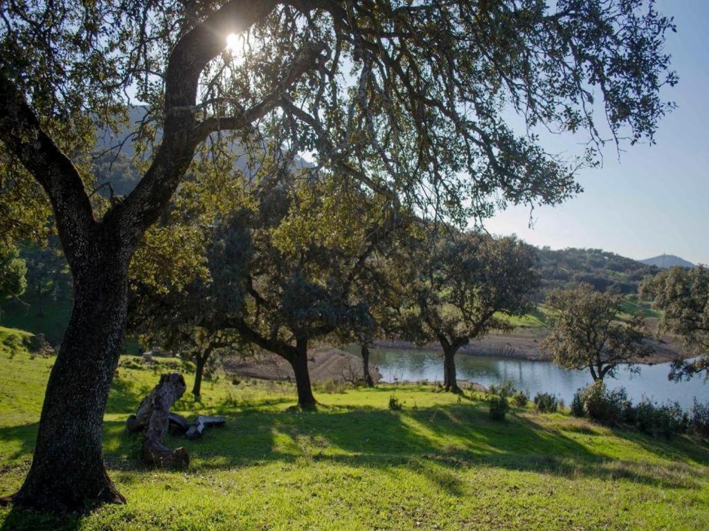 Finca La Vicacaria Limonero Zufre エクステリア 写真
