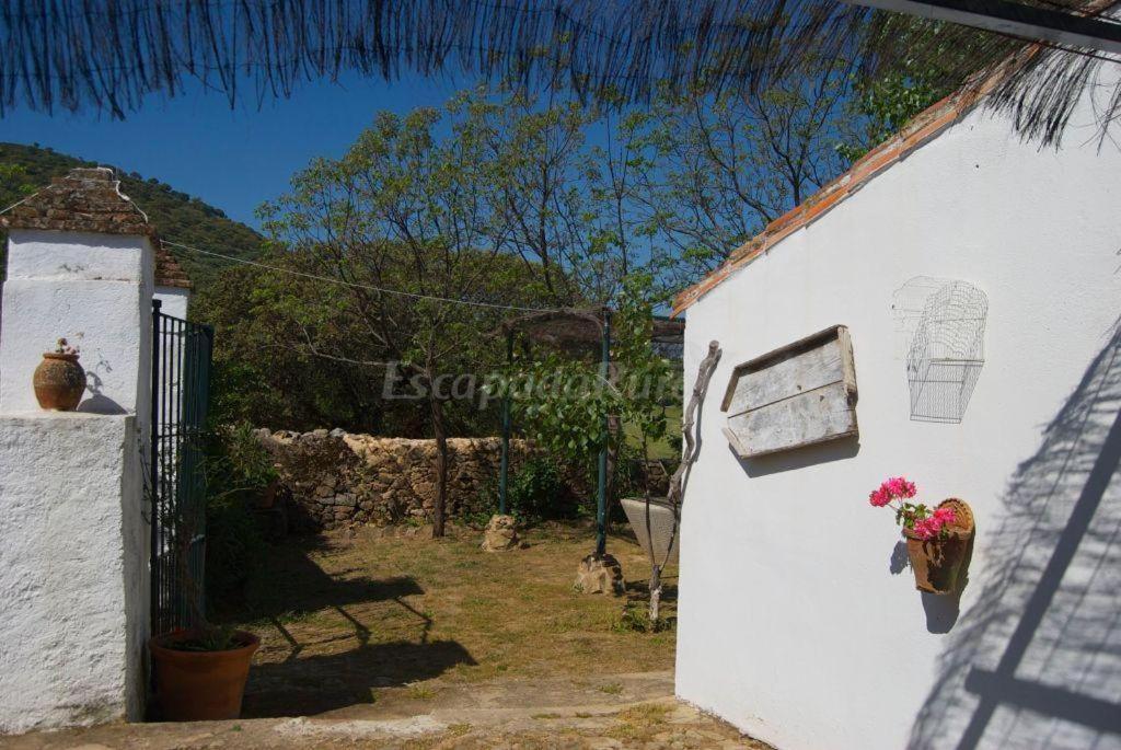 Finca La Vicacaria Limonero Zufre エクステリア 写真