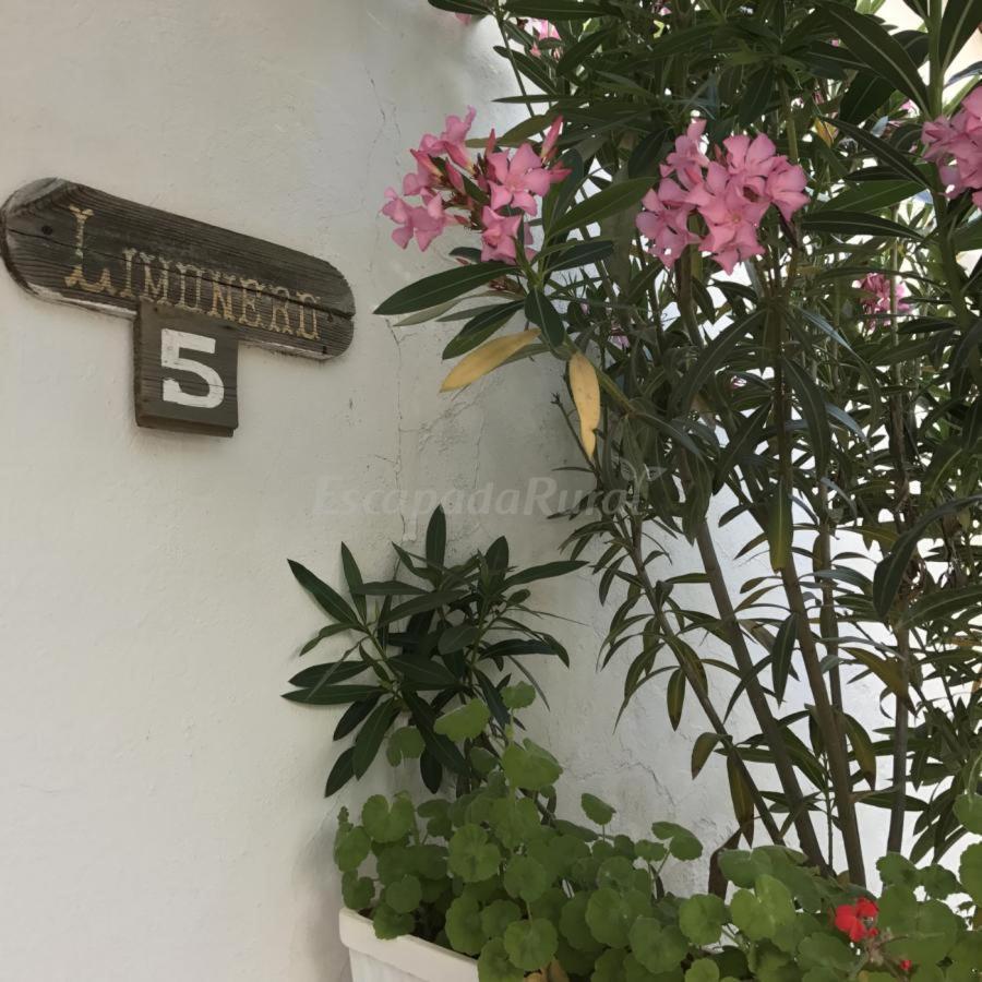 Finca La Vicacaria Limonero Zufre エクステリア 写真